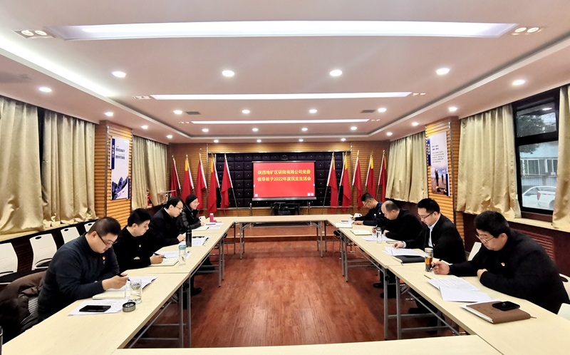 陜西地礦區(qū)研院有限公司黨委領導班子召開2022年度民主生活會